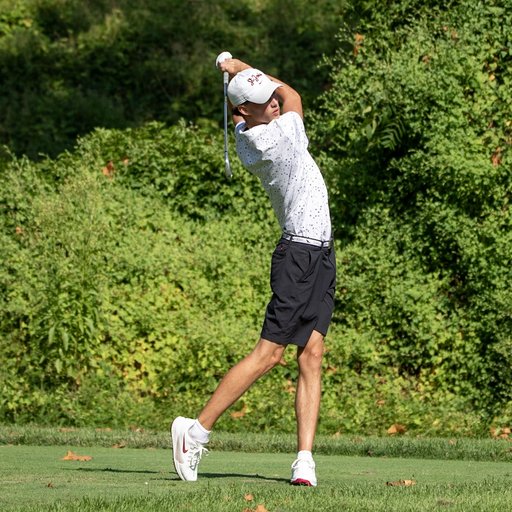Men's Golf Swing