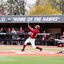 Baseball Swing